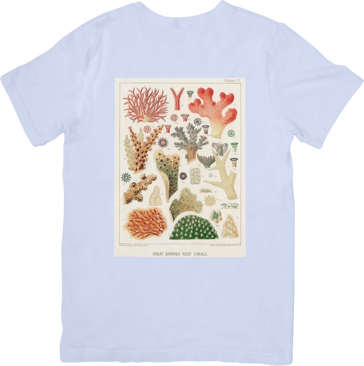 CORAL TWO TEE LADYBYRD