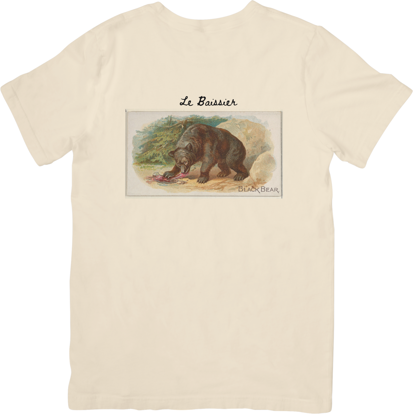 LE BEAR TEE
