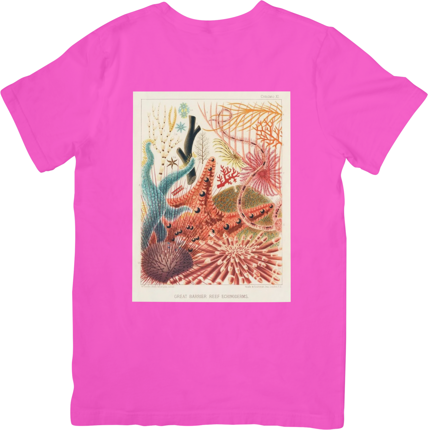 CORAL THREE TEE LADYBYRD