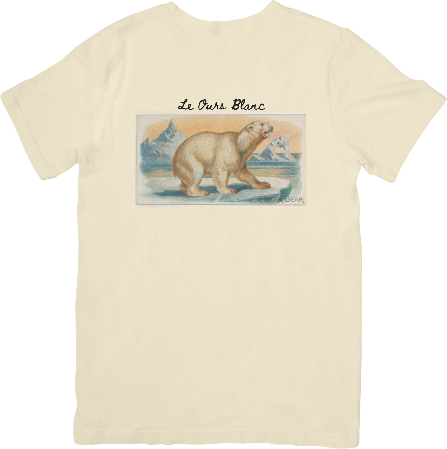 LE POLAR BEAR TEE