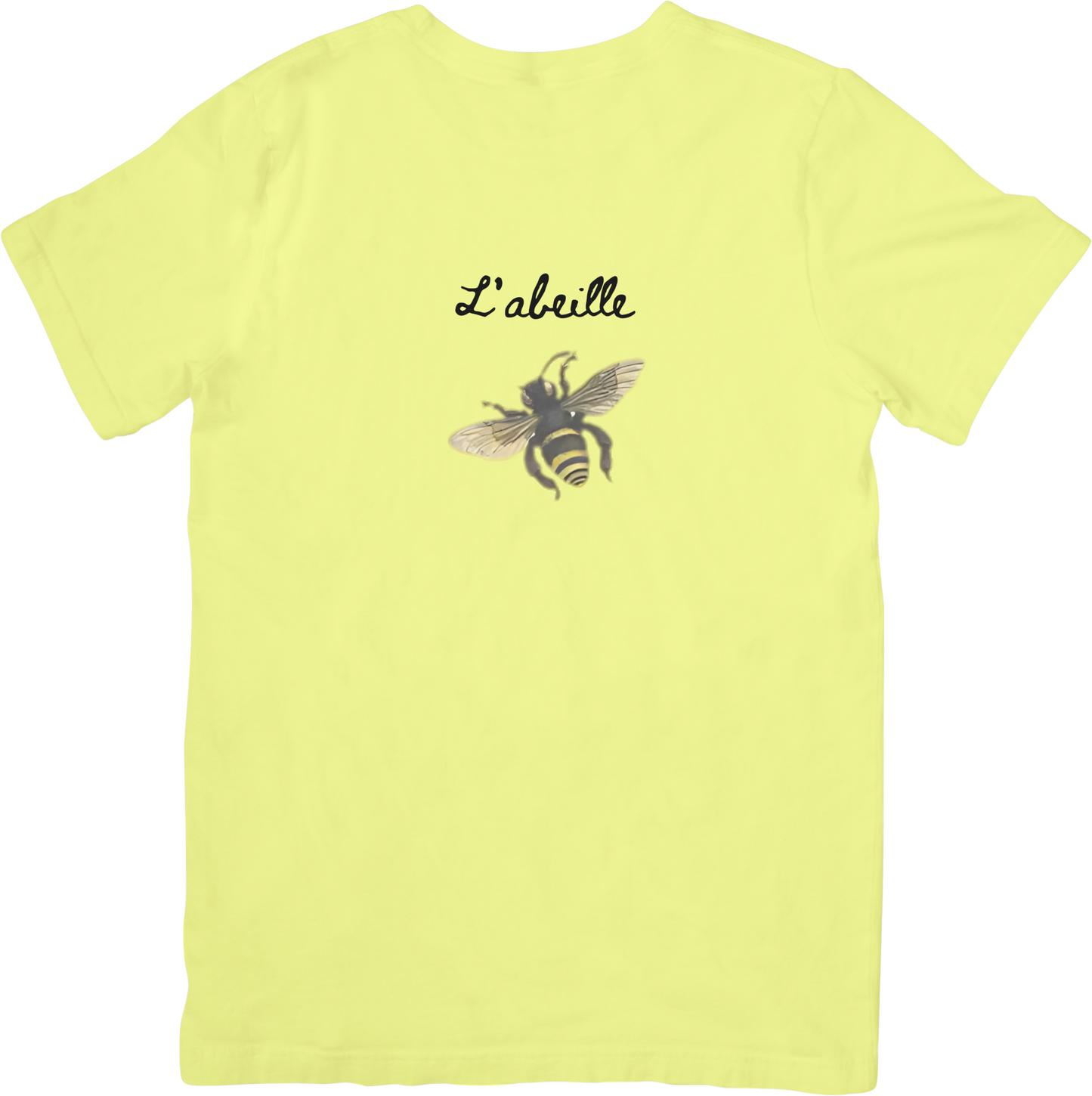πLE BEE TEE LITTLEBYRD