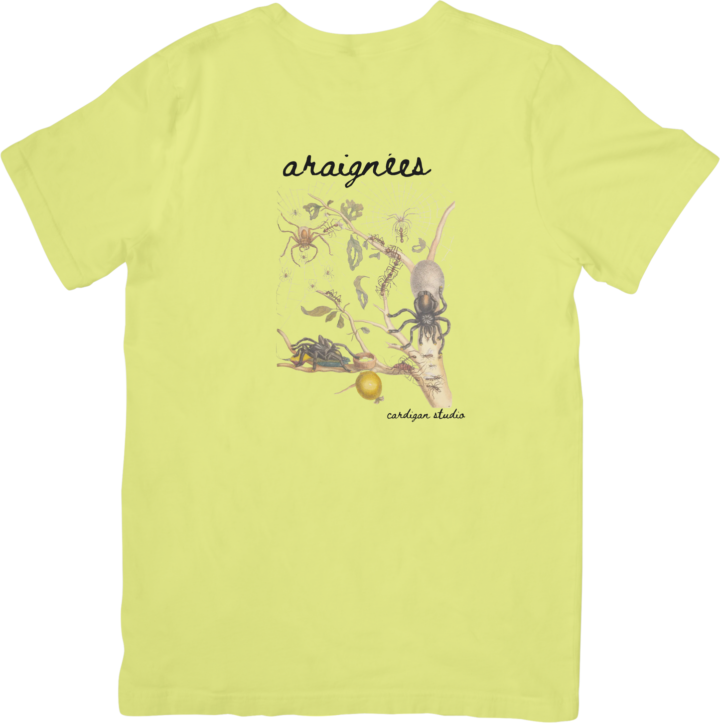 GARDEN SPIDER TEE LITTLEBYRD