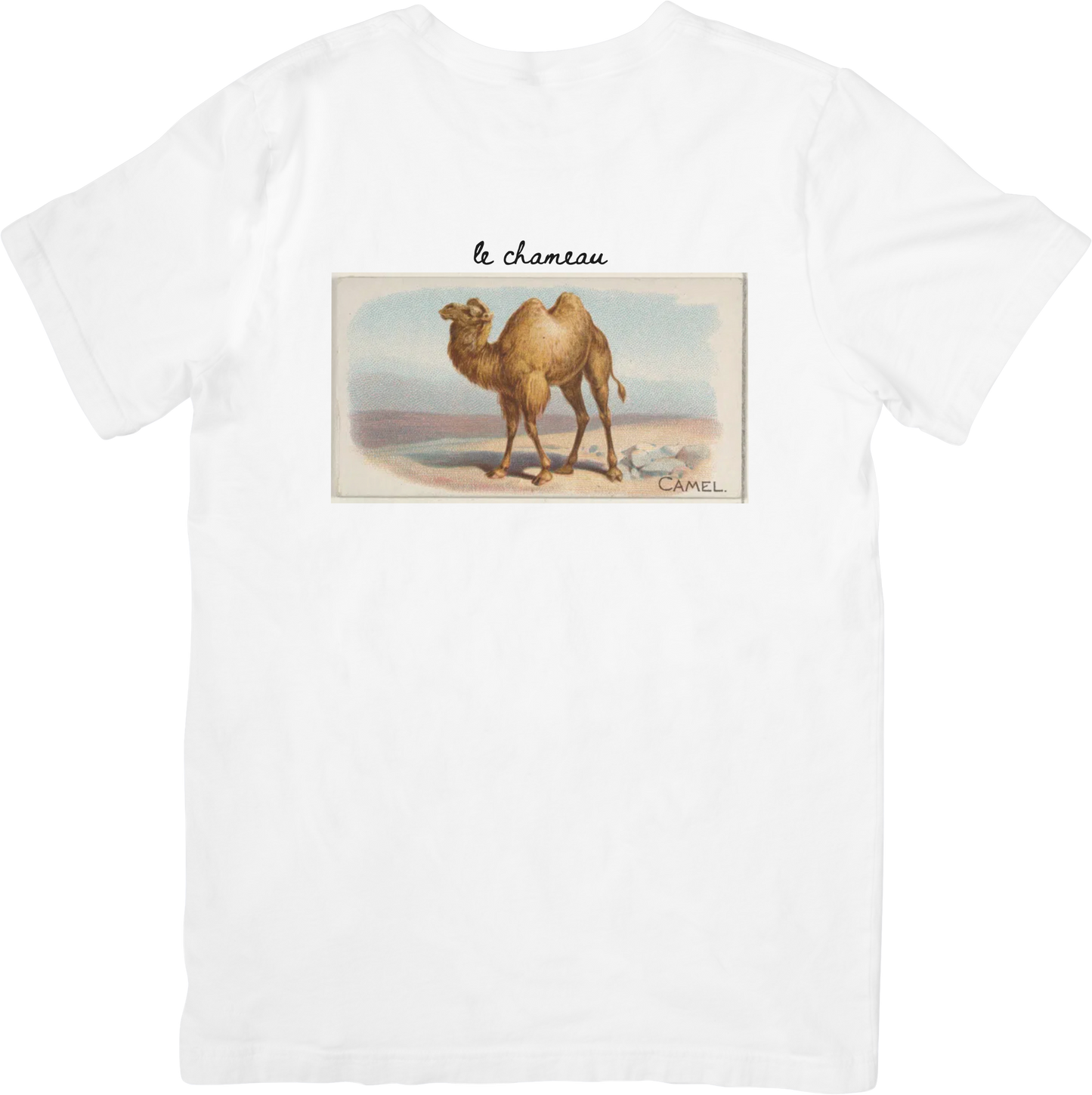 LE CAMEL TEE