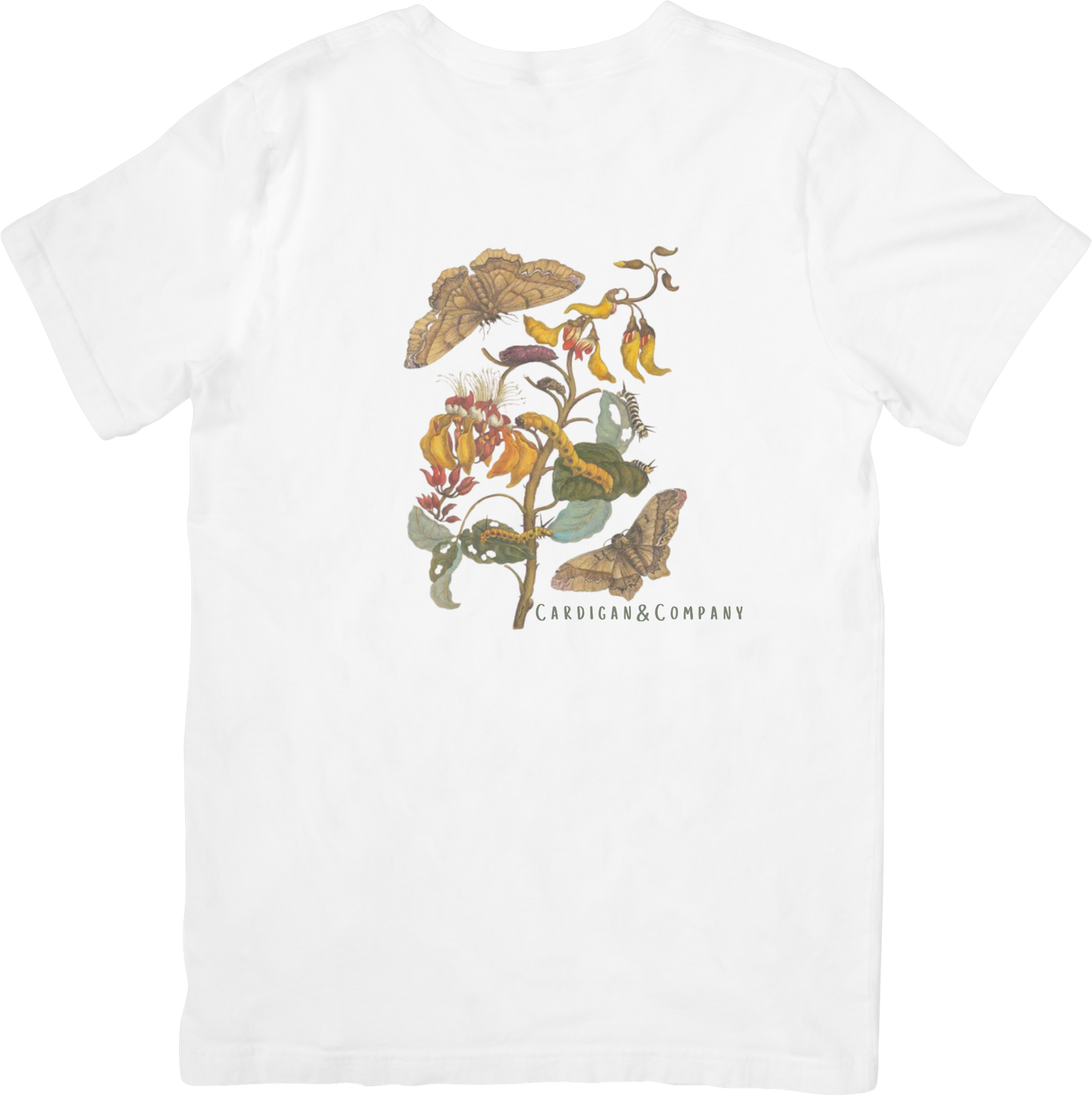 GARDEN BUTTERFLY TEE LITTLEBYRD