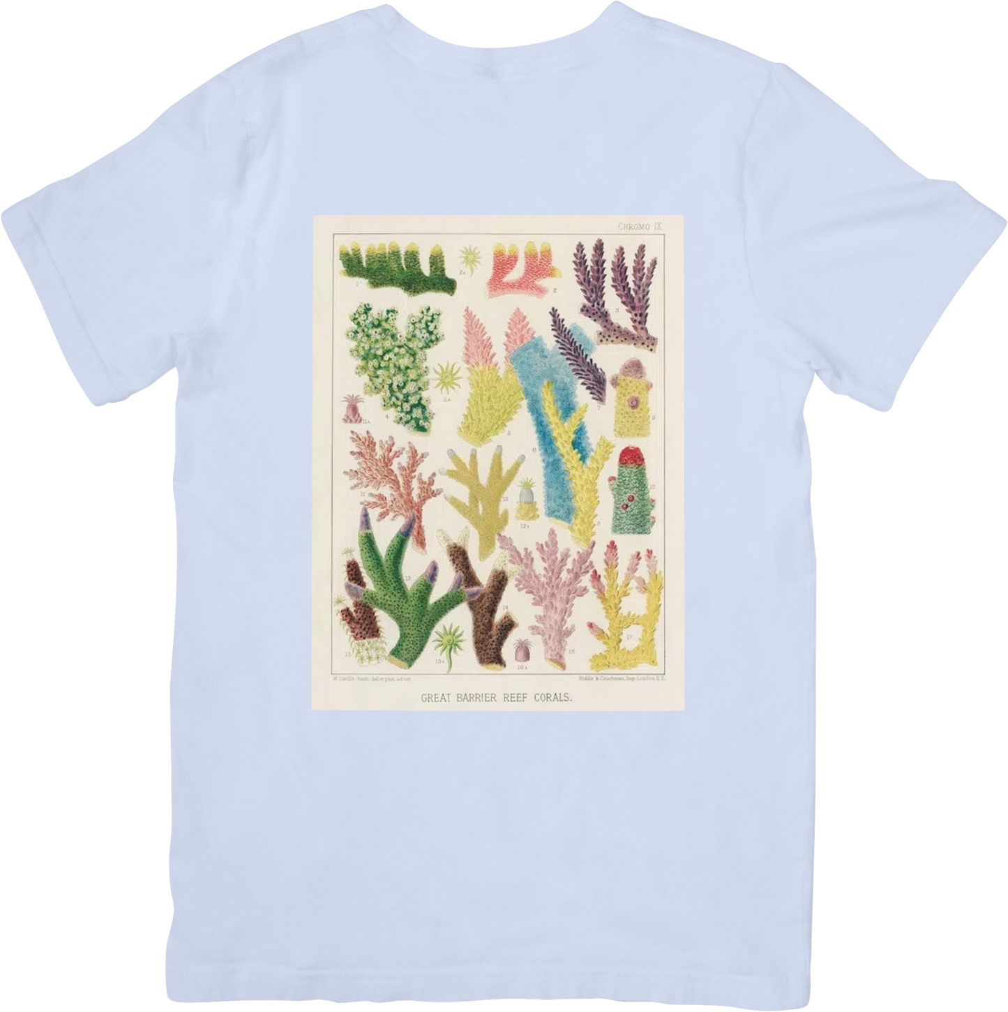 CORAL ONE TEE LADYBYRD