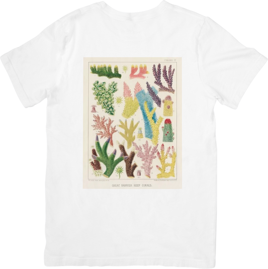 CORAL ONE TEE LITTLEBYRD