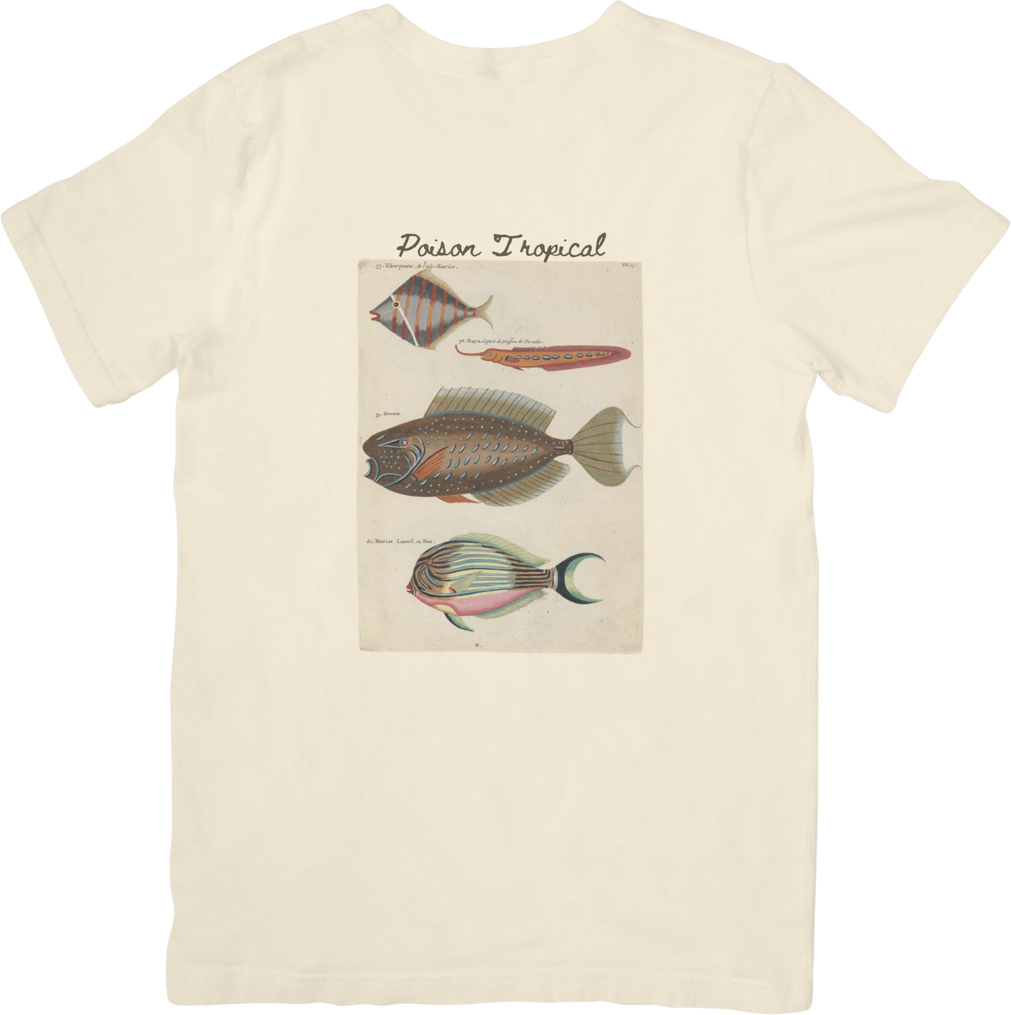 🐠LE FISH TWO TEE