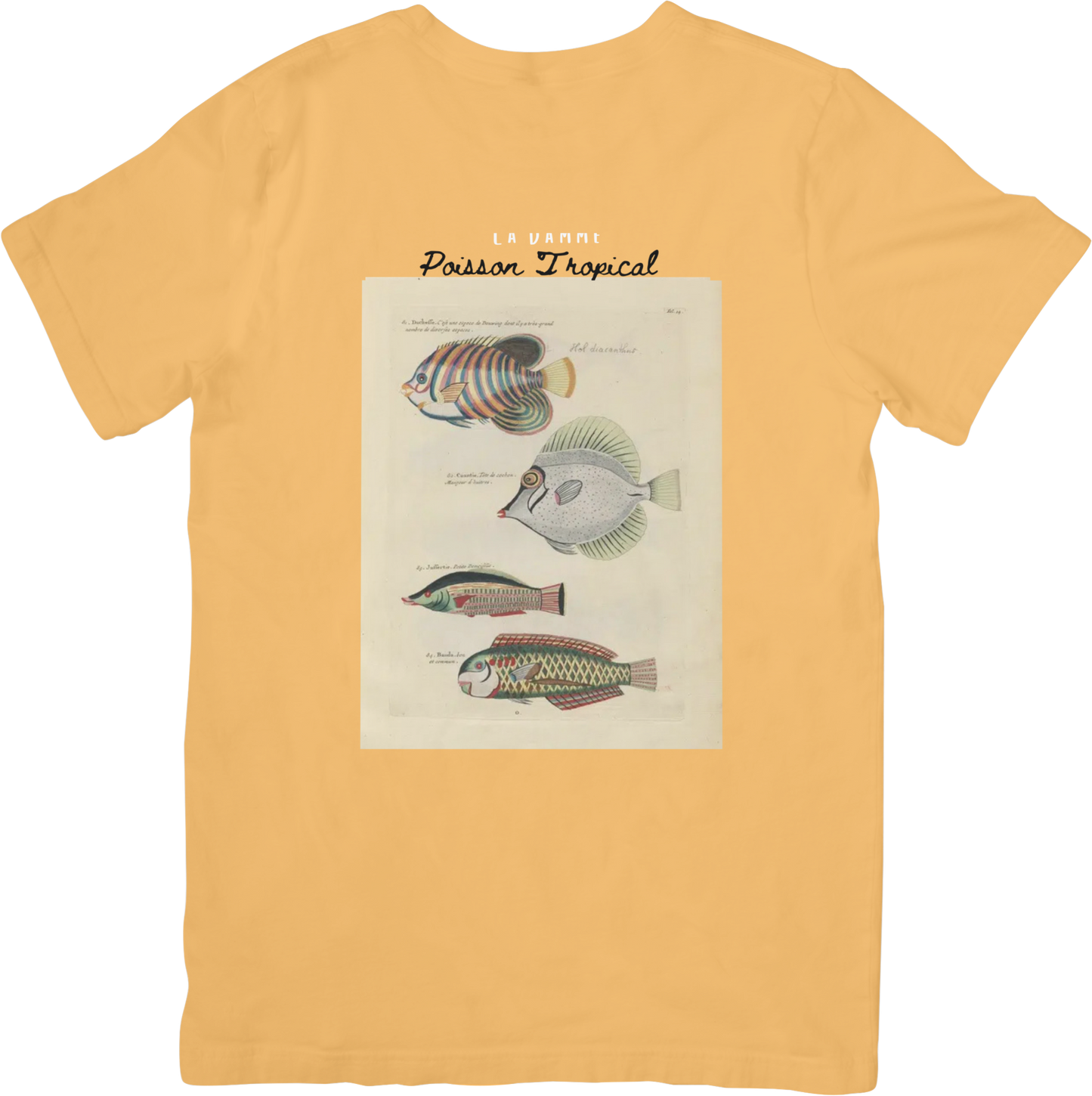 🐟LE FISH THREE TEE