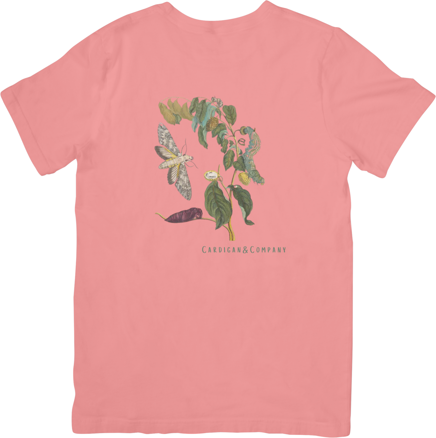 GARDEN MOTHS TEE LITTLEBYRD