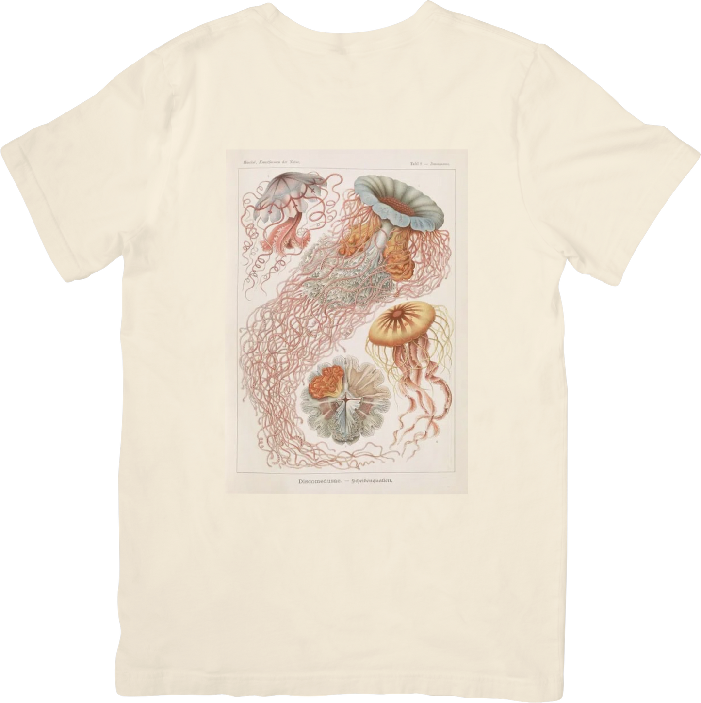 CORAL JELLY FISH TEE LITTLEBYRD