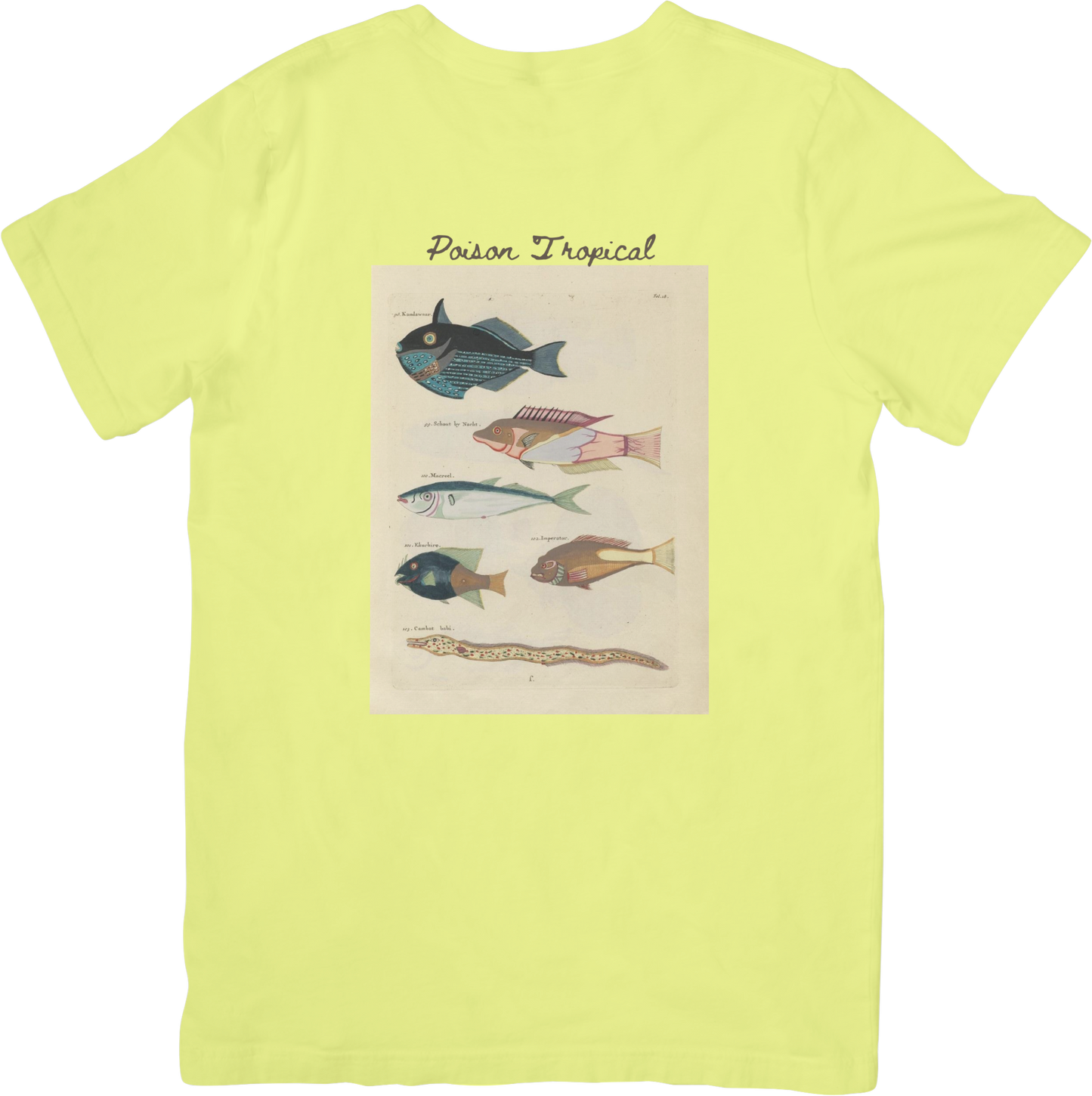 🐡LE FISH ONE TEE