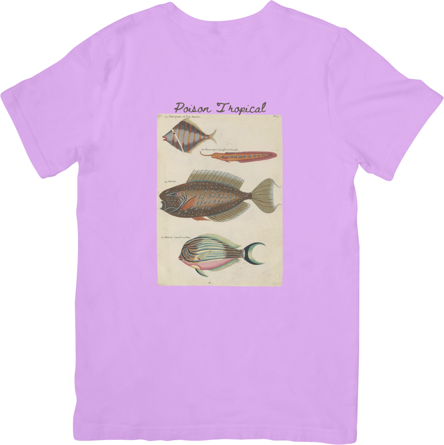 🐠LE FISH TWO TEE