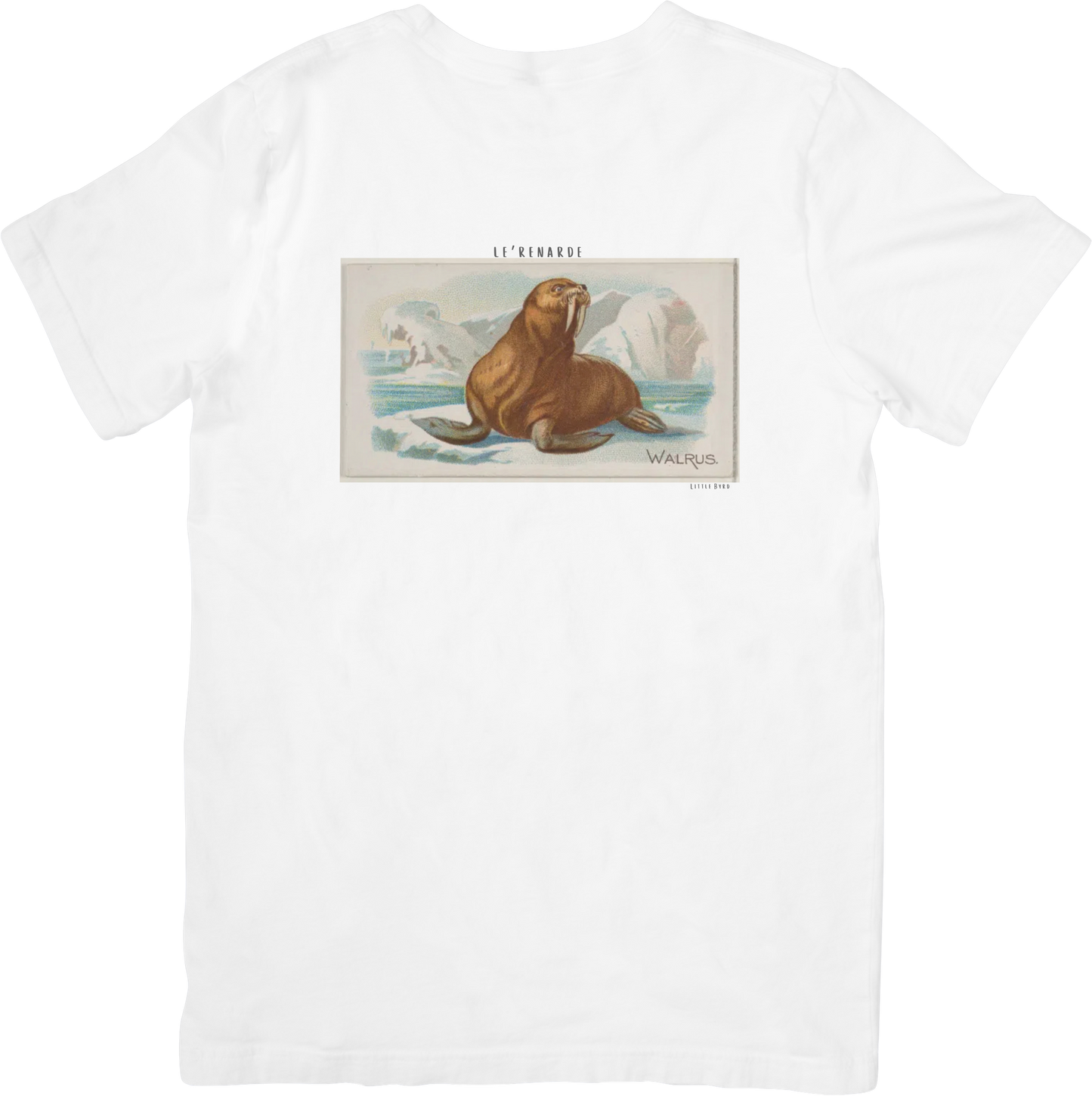 LE SEAL TEE
