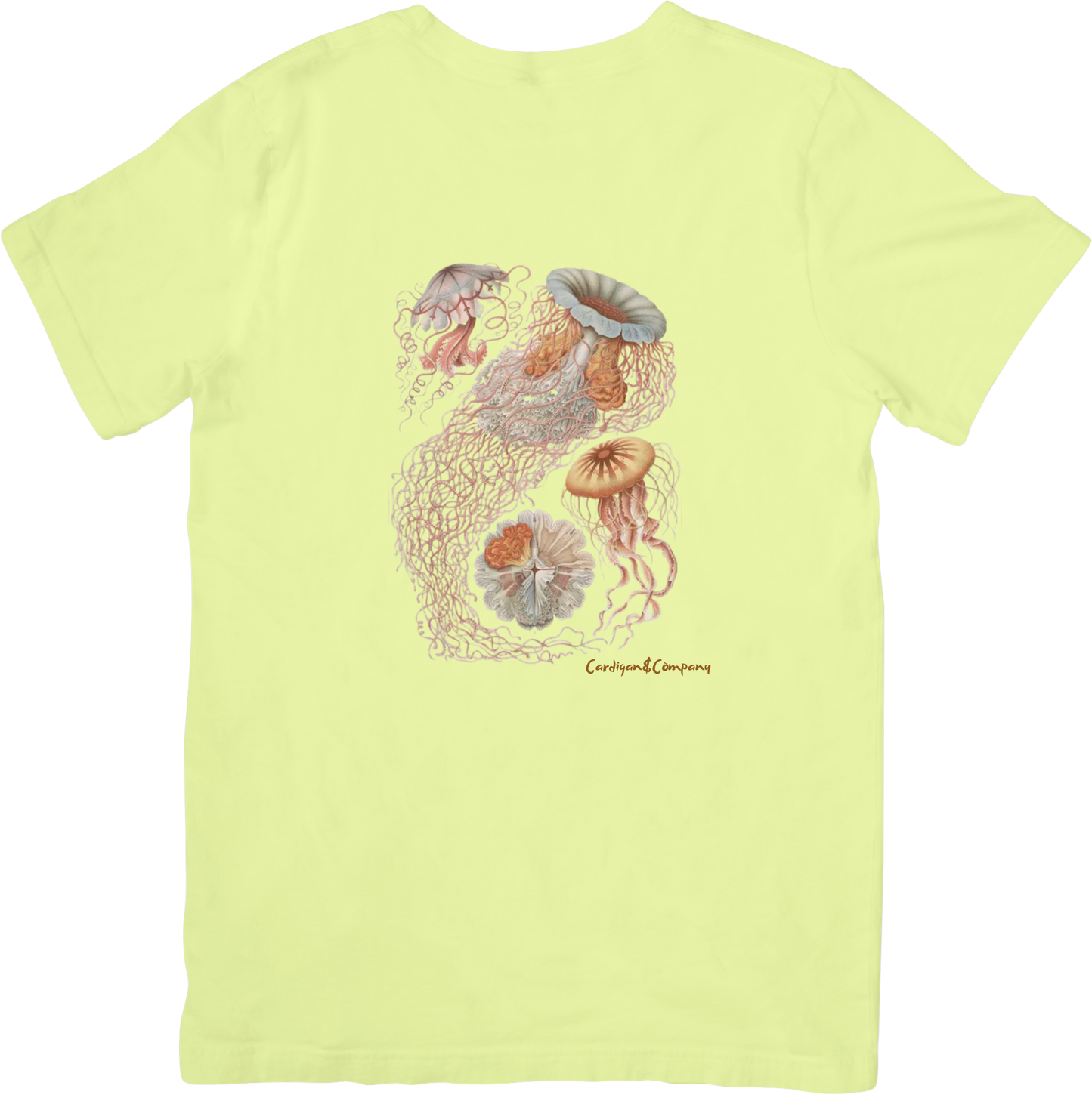 CORAL JELLY FISH TEE LITTLEBYRD