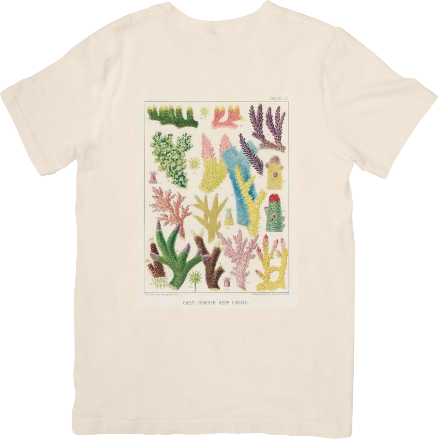 CORAL ONE TEE LITTLEBYRD