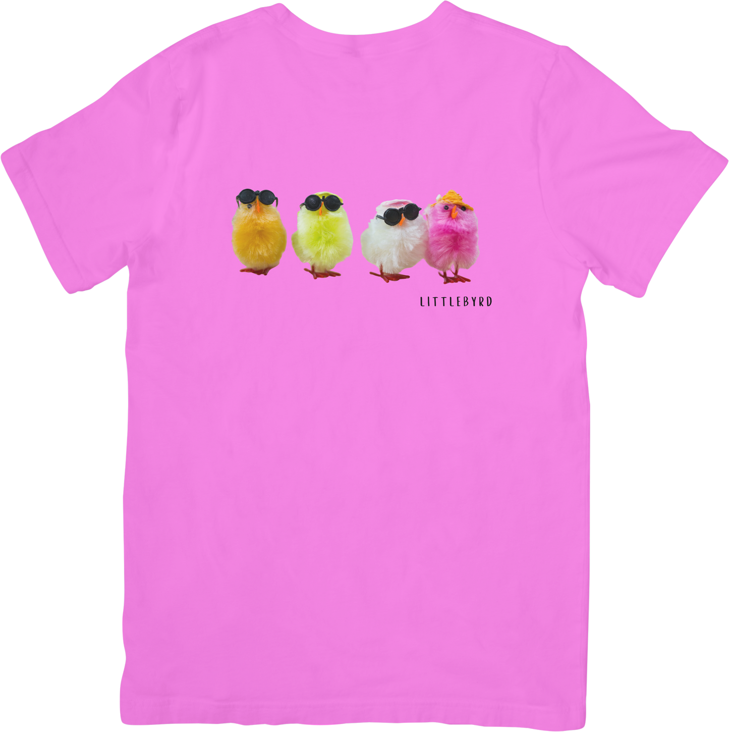 1976 RIOT CHICKS TEE