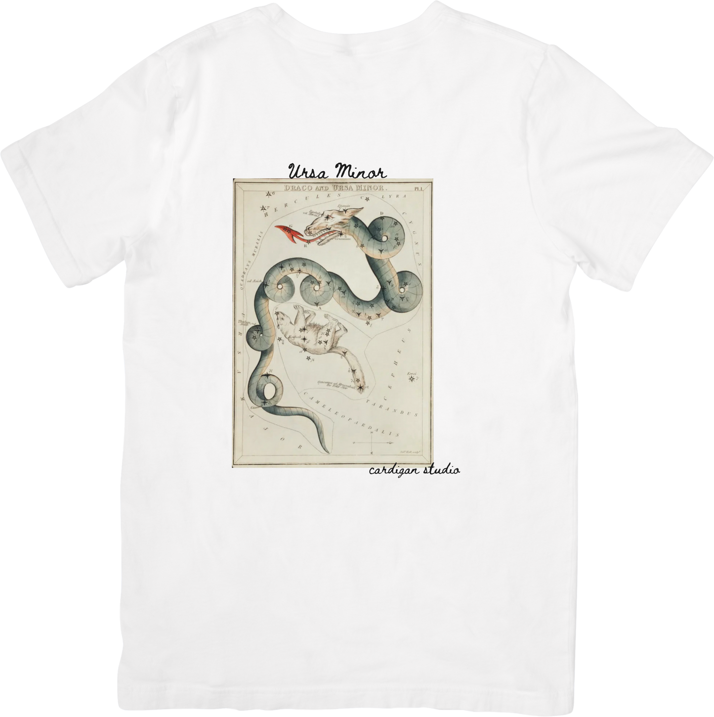 ZODIAC HYDRA TEE