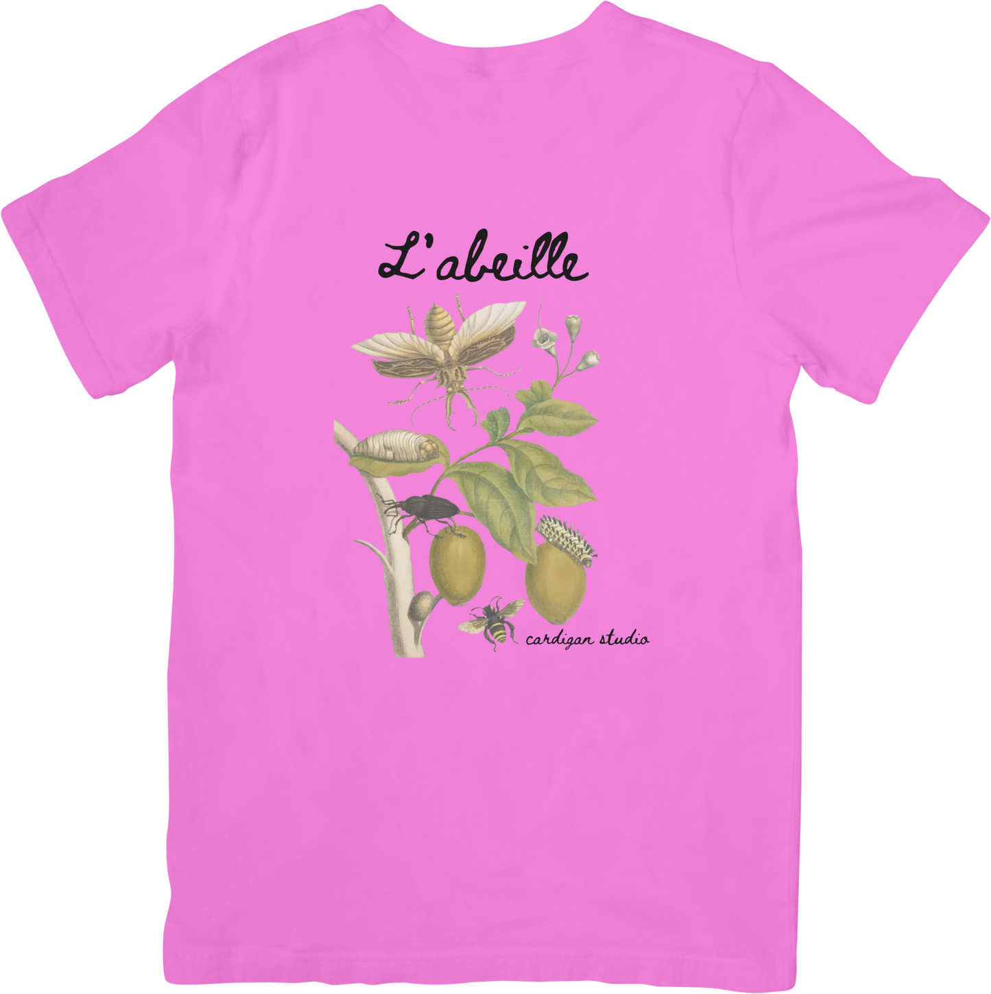 GARDEN SPIDER TEE LITTLEBYRD