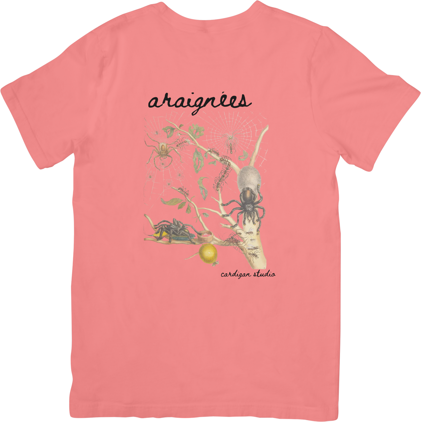 GARDEN SPIDER TEE LITTLEBYRD