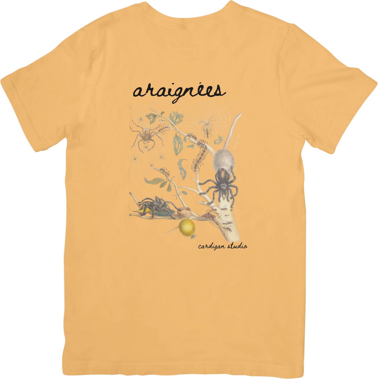 GARDEN SPIDER TEE LITTLEBYRD