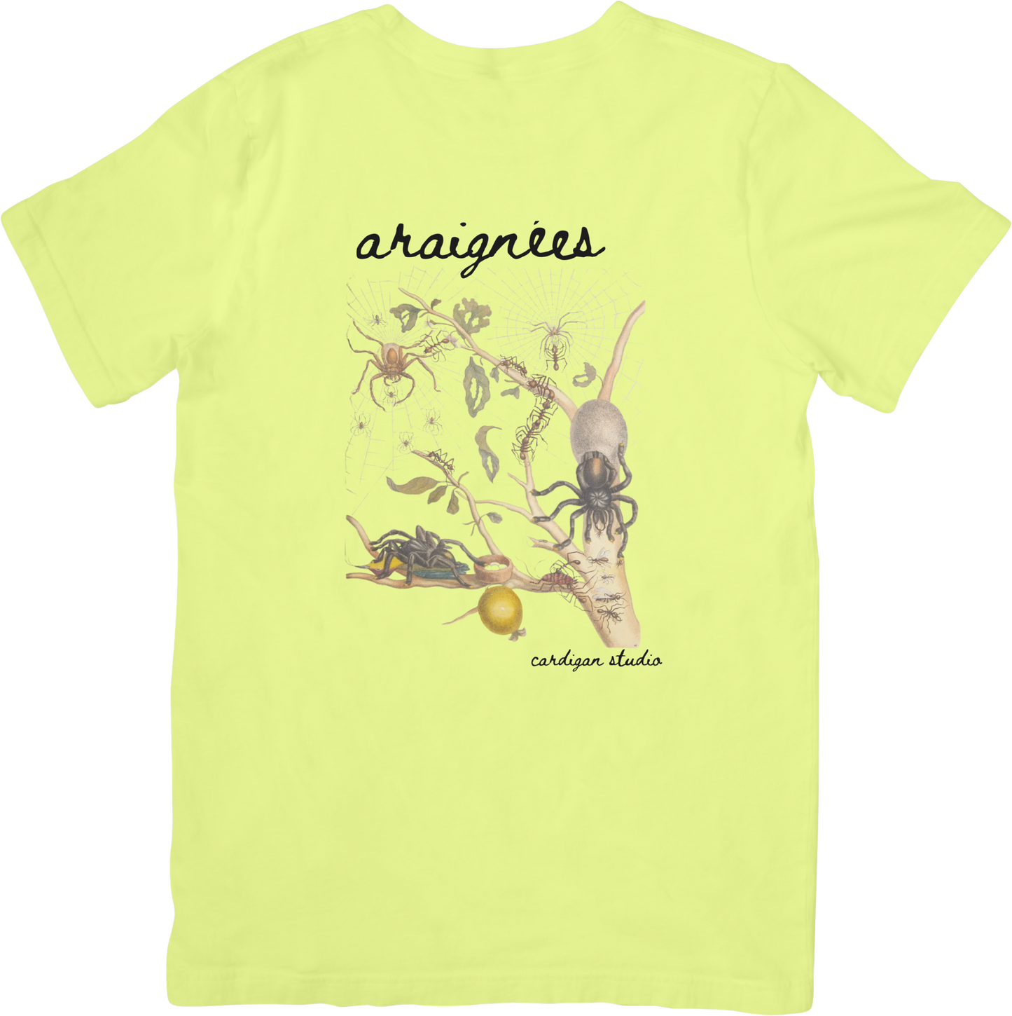GARDEN SPIDERS TEE