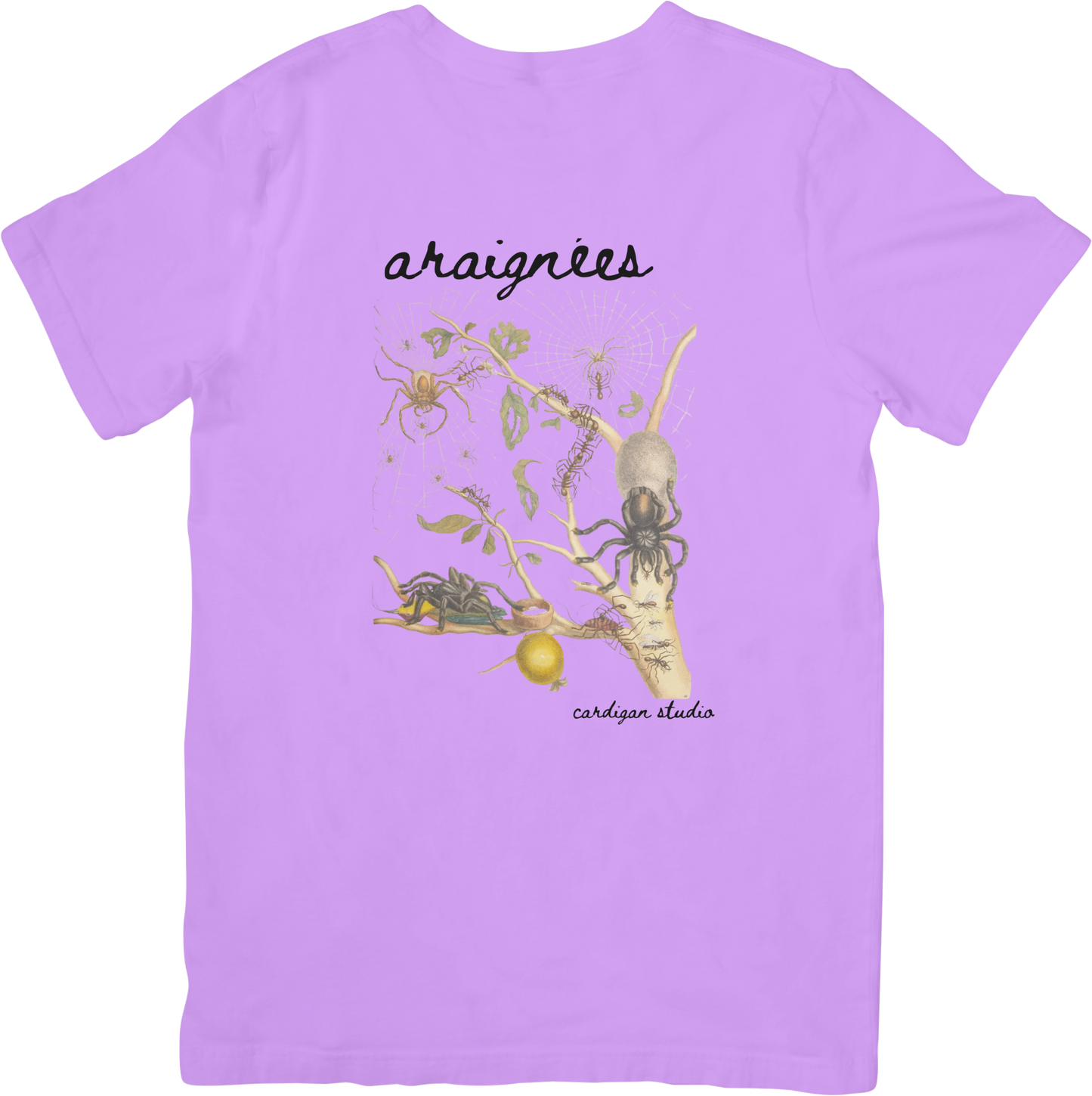 GARDEN SPIDERS TEE