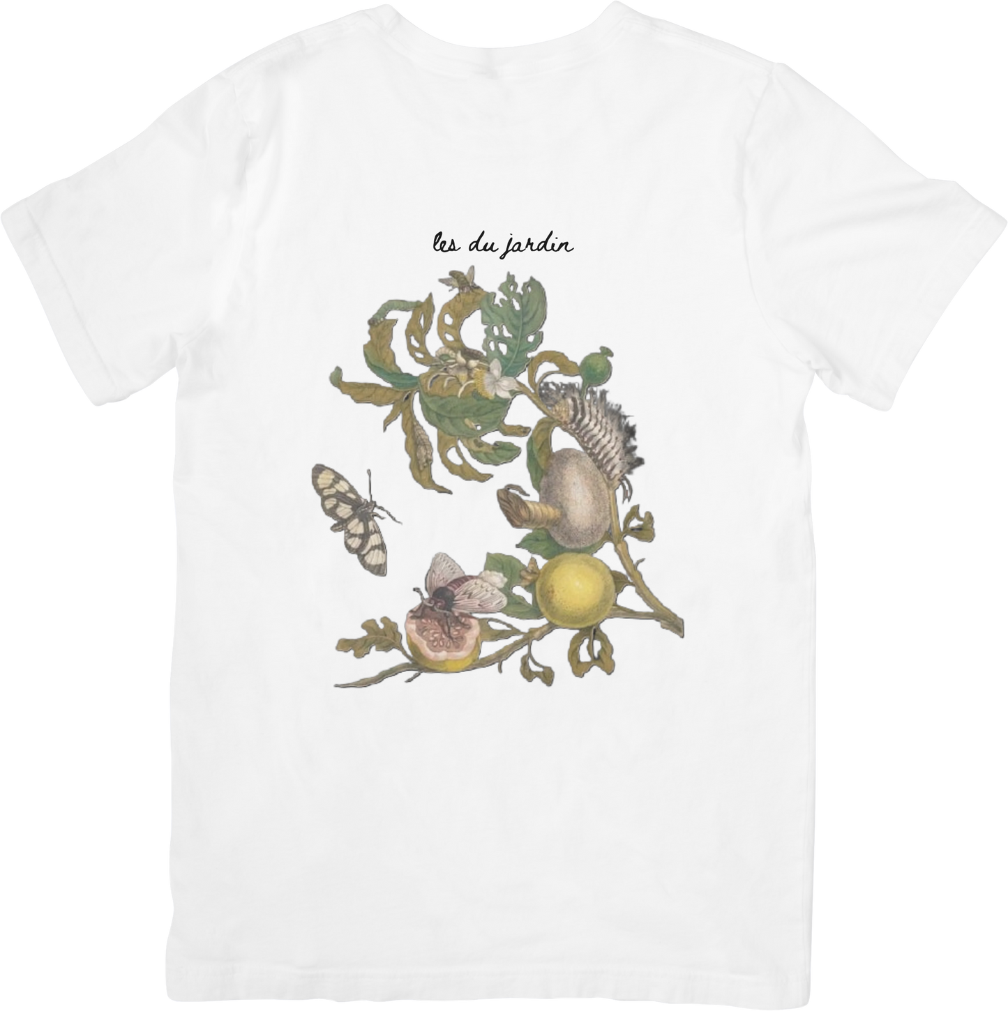GARDEN MOTHS TEE LITTLEBYRD