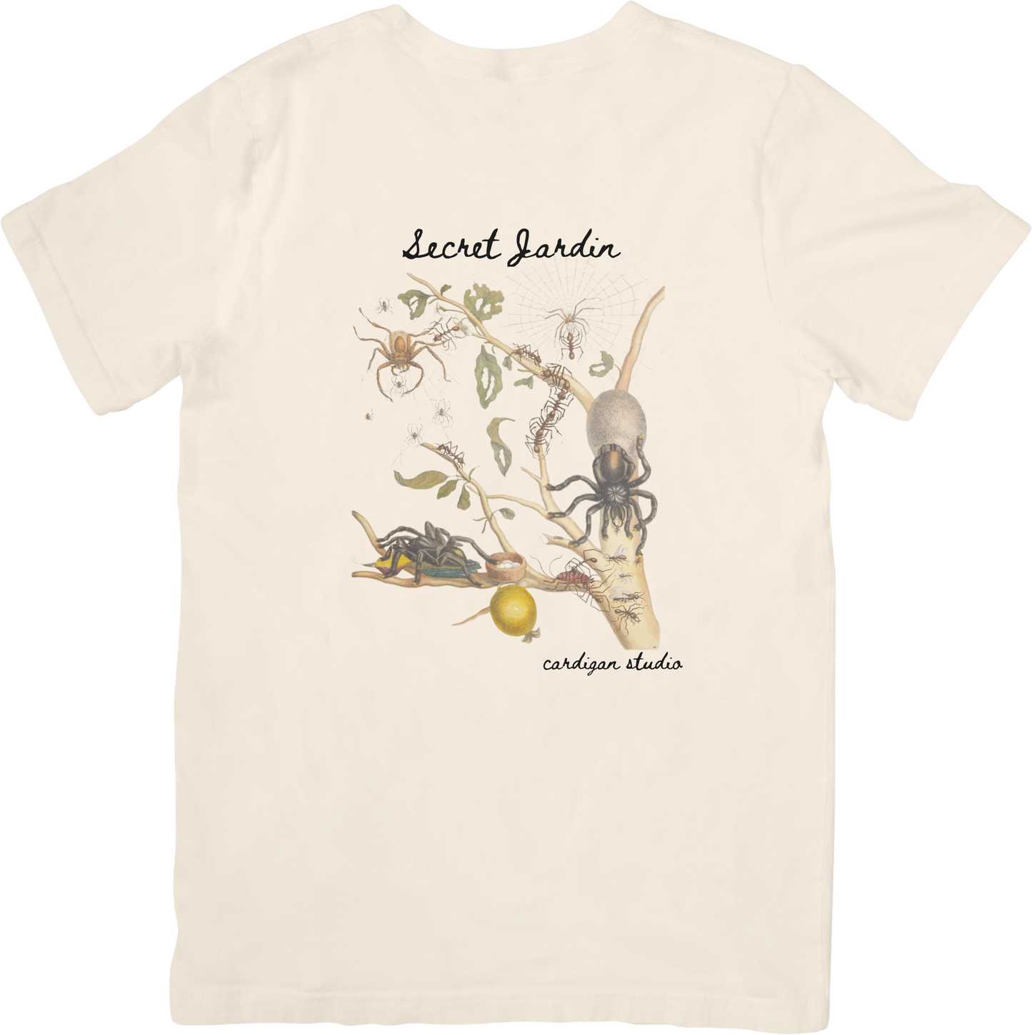 GARDEN SPIDER TEE LITTLEBYRD
