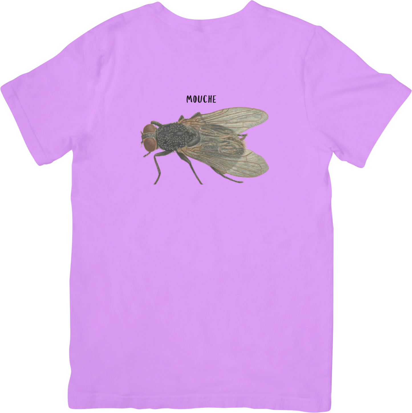 🪰LE FLY TEE