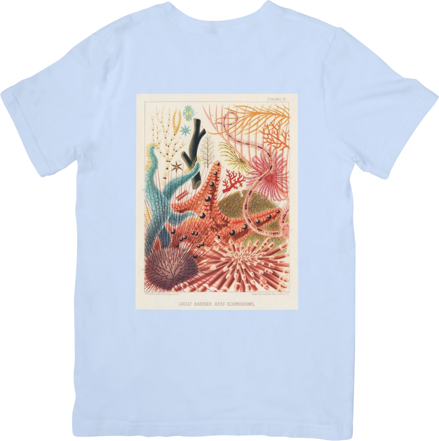 CORAL THREE TEE LADYBYRD