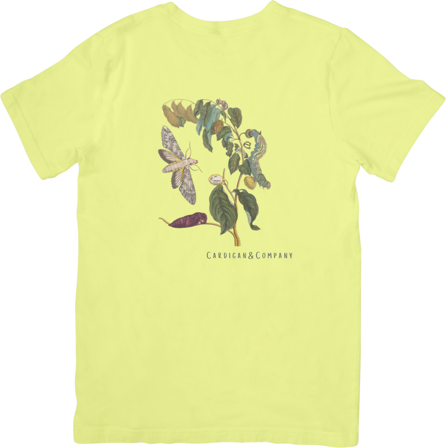 GARDEN MOTHS TEE LITTLEBYRD