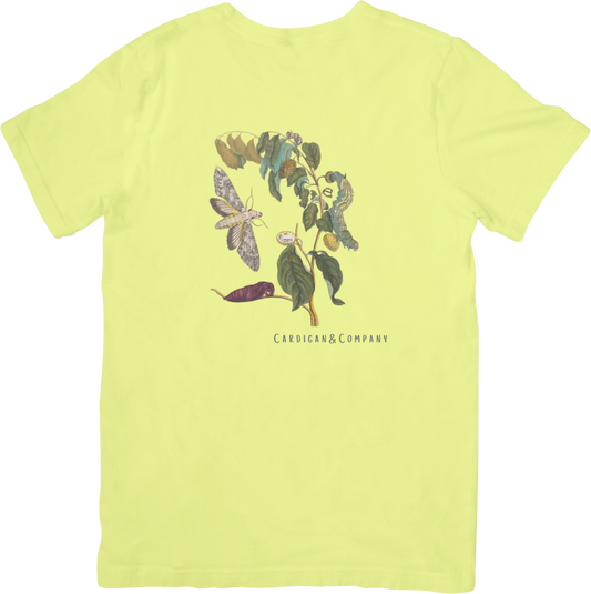 GARDEN MOTHS TEE LITTLEBYRD