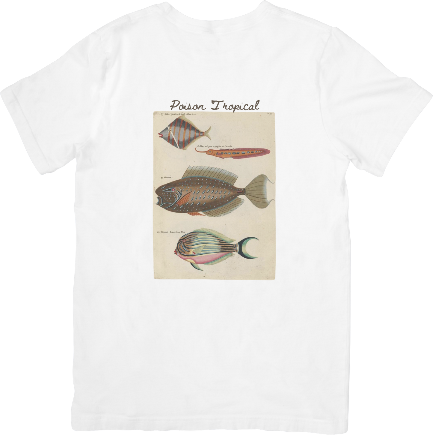 🐠LE FISH TWO TEE