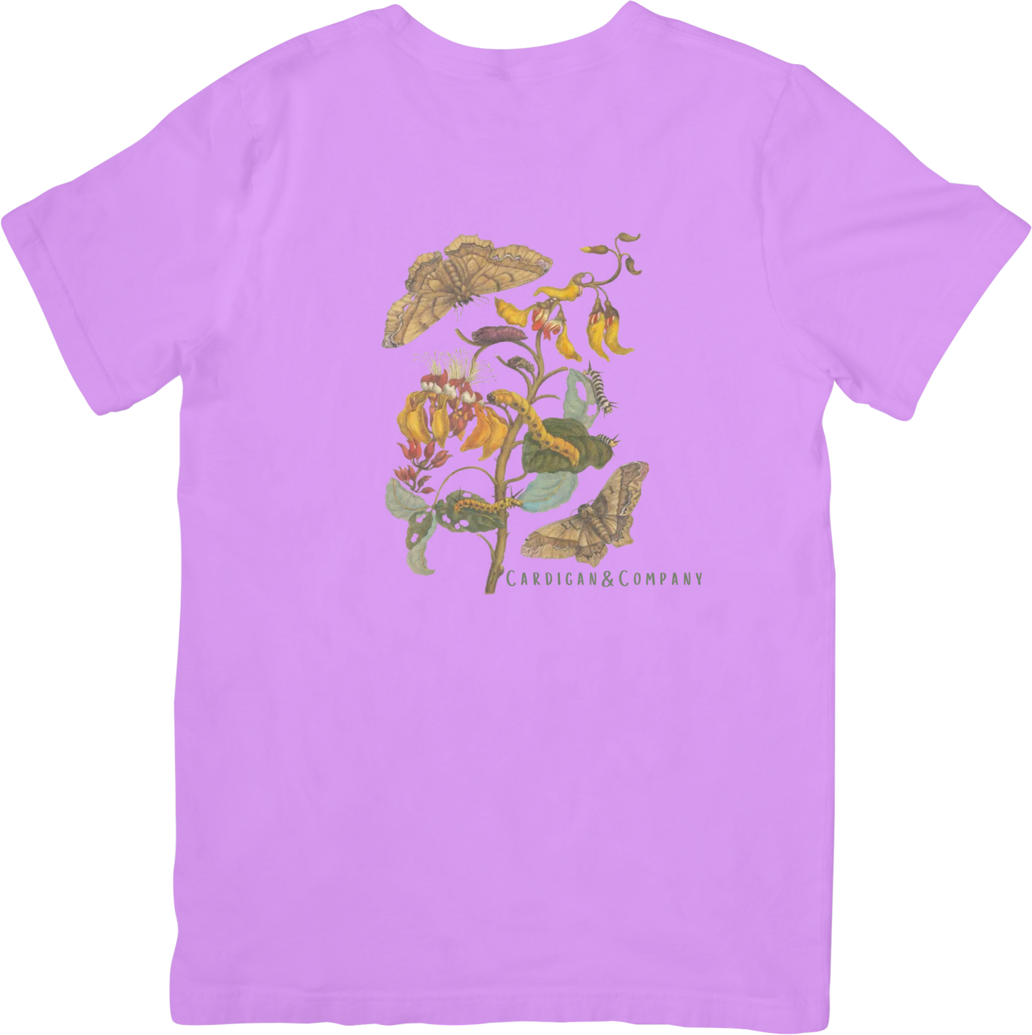 GARDEN BUTTERFLY TEE LITTLEBYRD