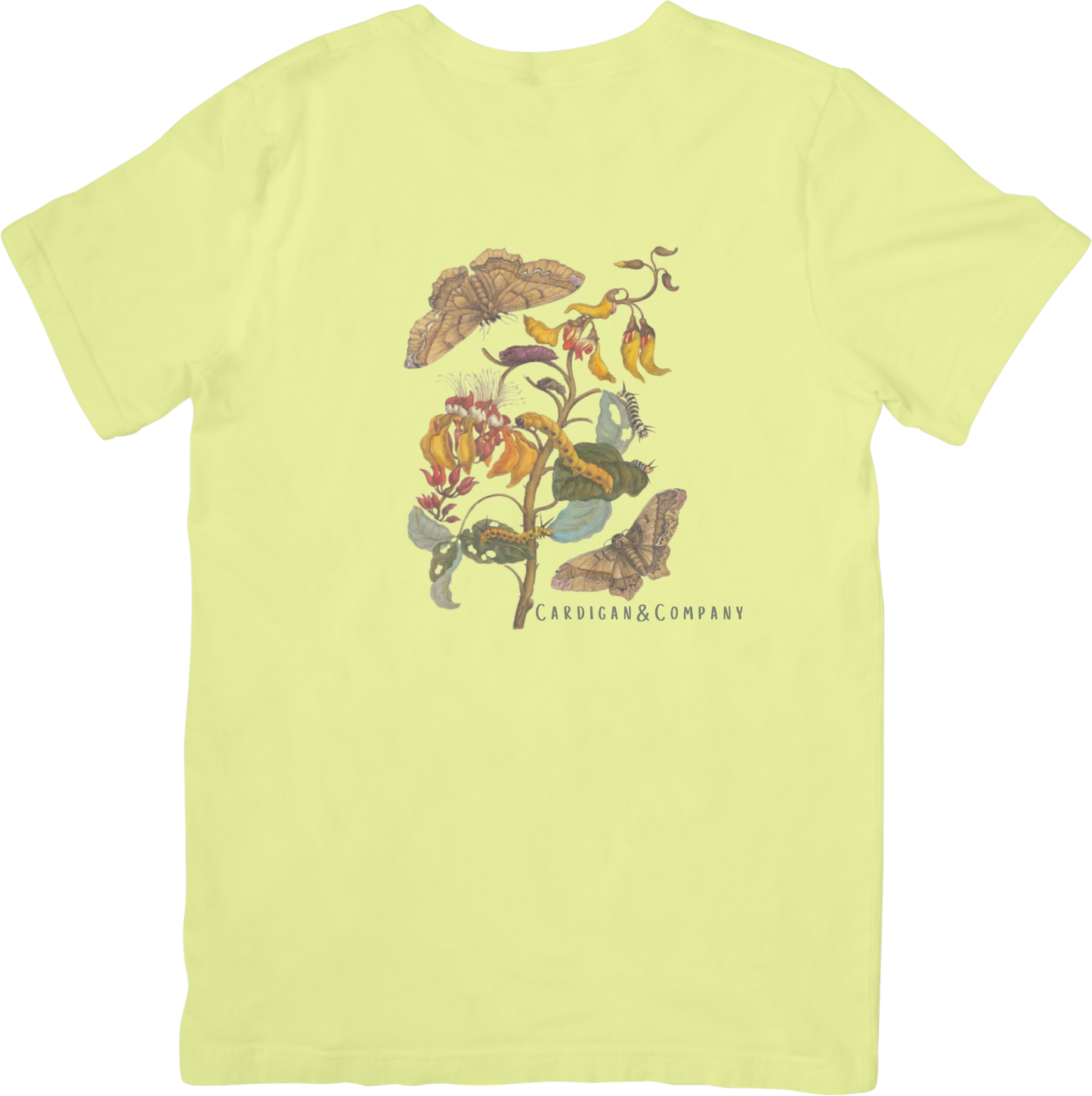 GARDEN BUTTERFLY TEE LITTLEBYRD