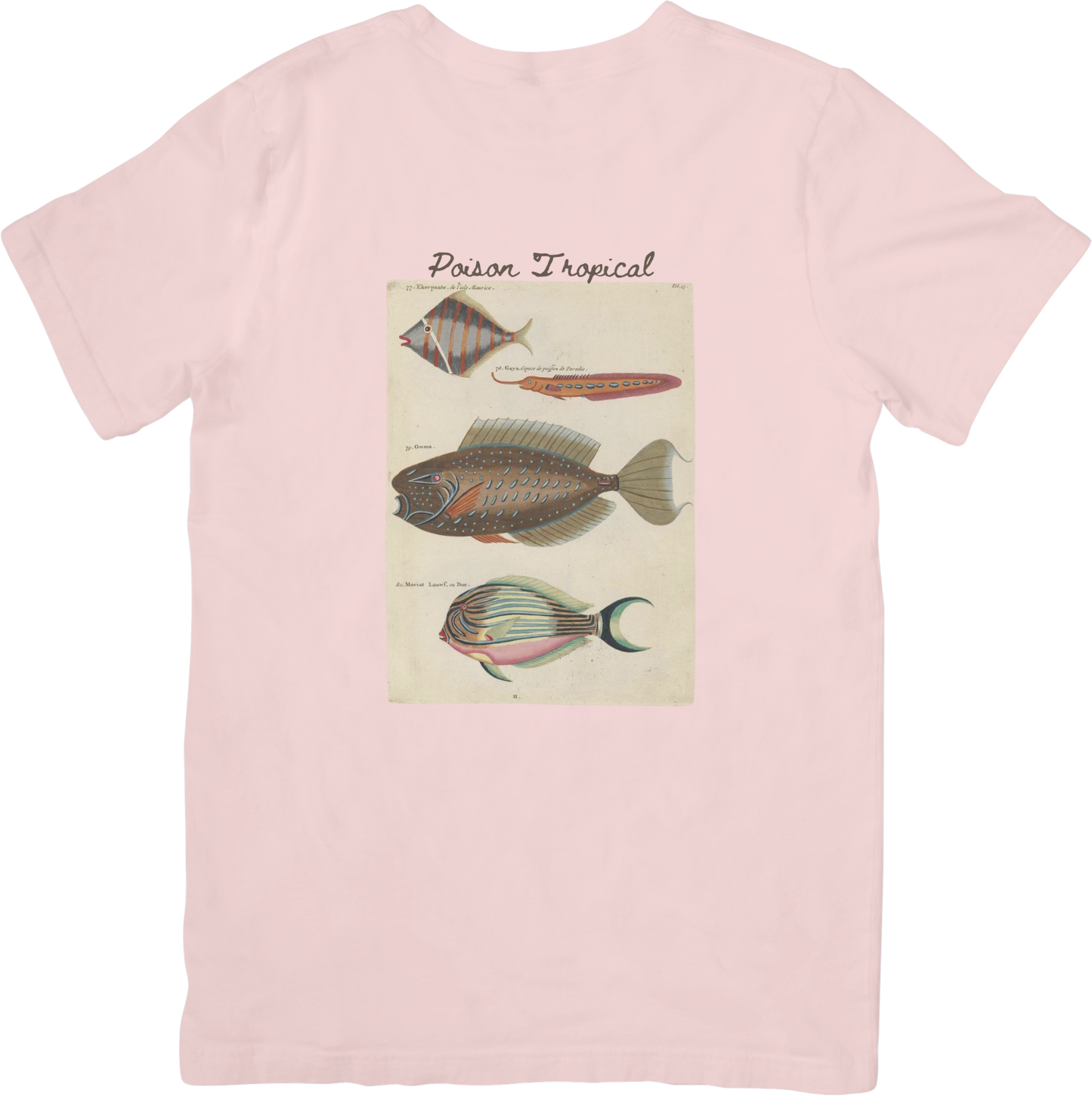 🐠LE FISH TWO TEE