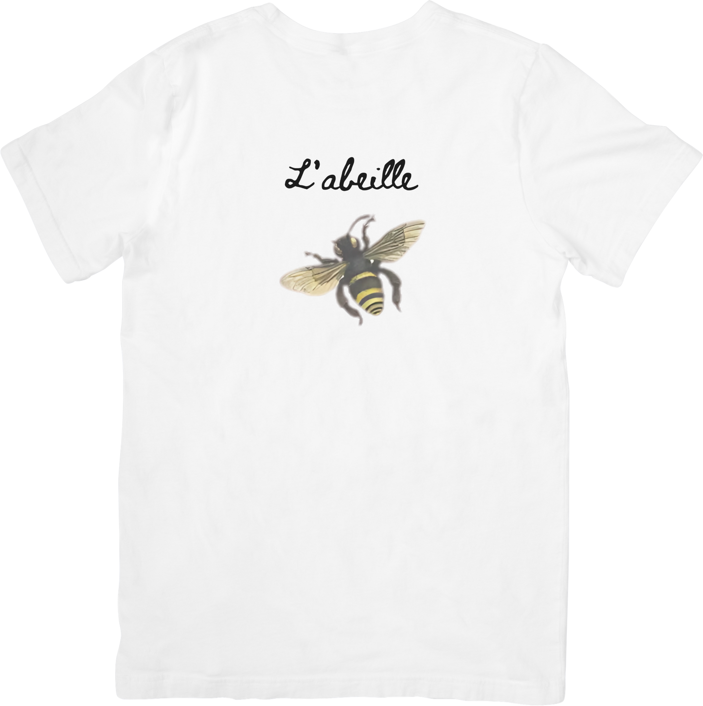 🐝LE BEE TEE LITTLEBYRD