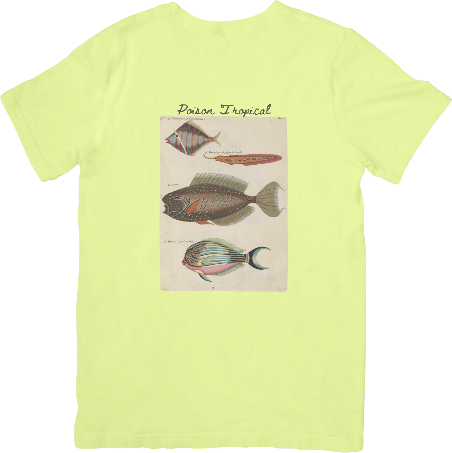 🐠LE FISH TWO TEE