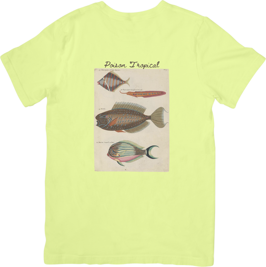 🐠LE FISH TWO TEE