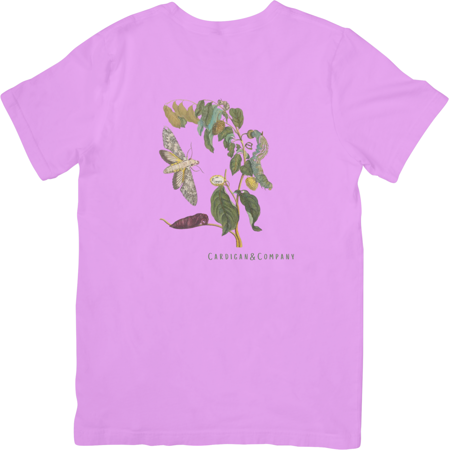 GARDEN MOTHS TEE LITTLEBYRD