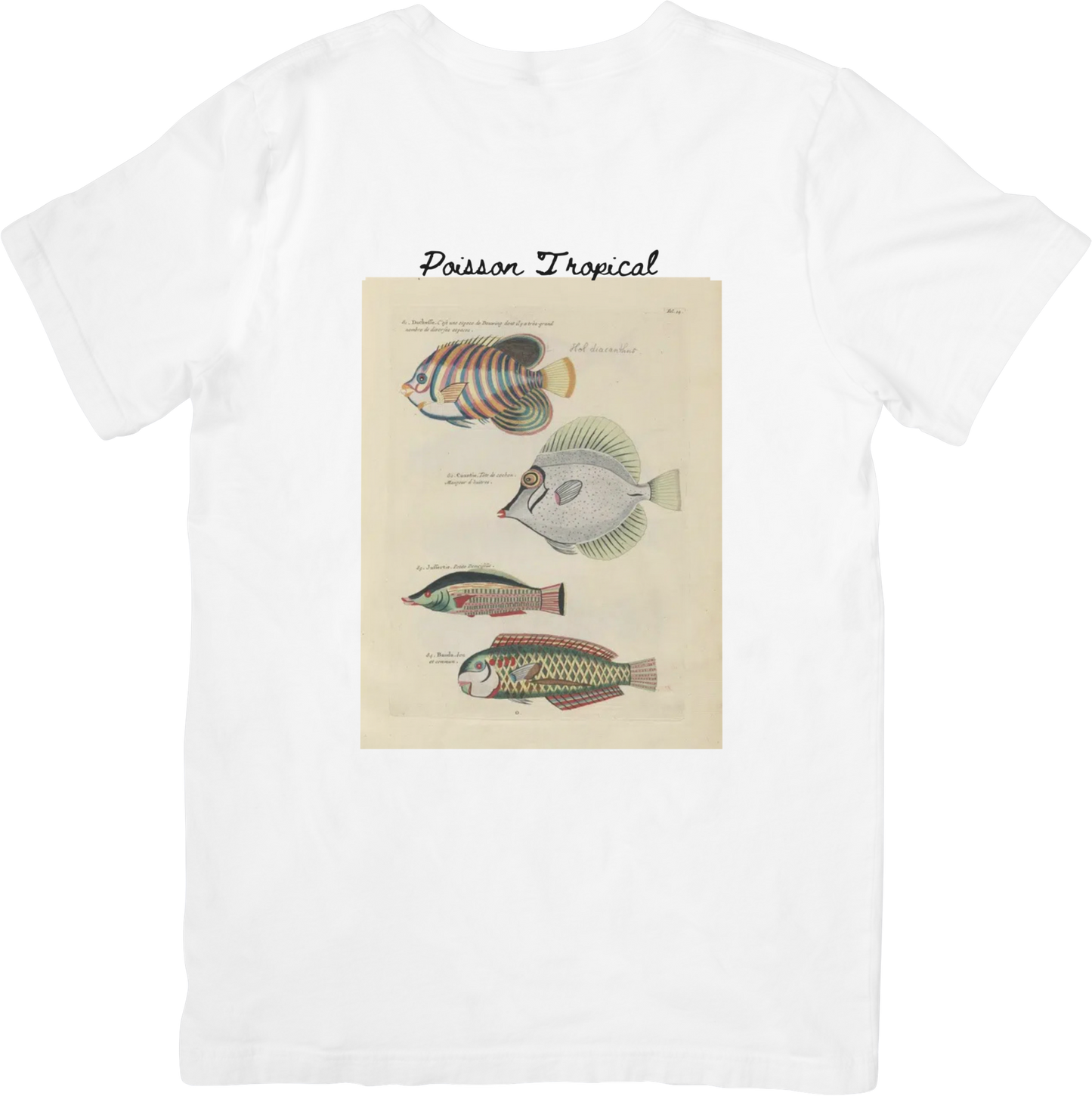 🐟LE FISH THREE TEE