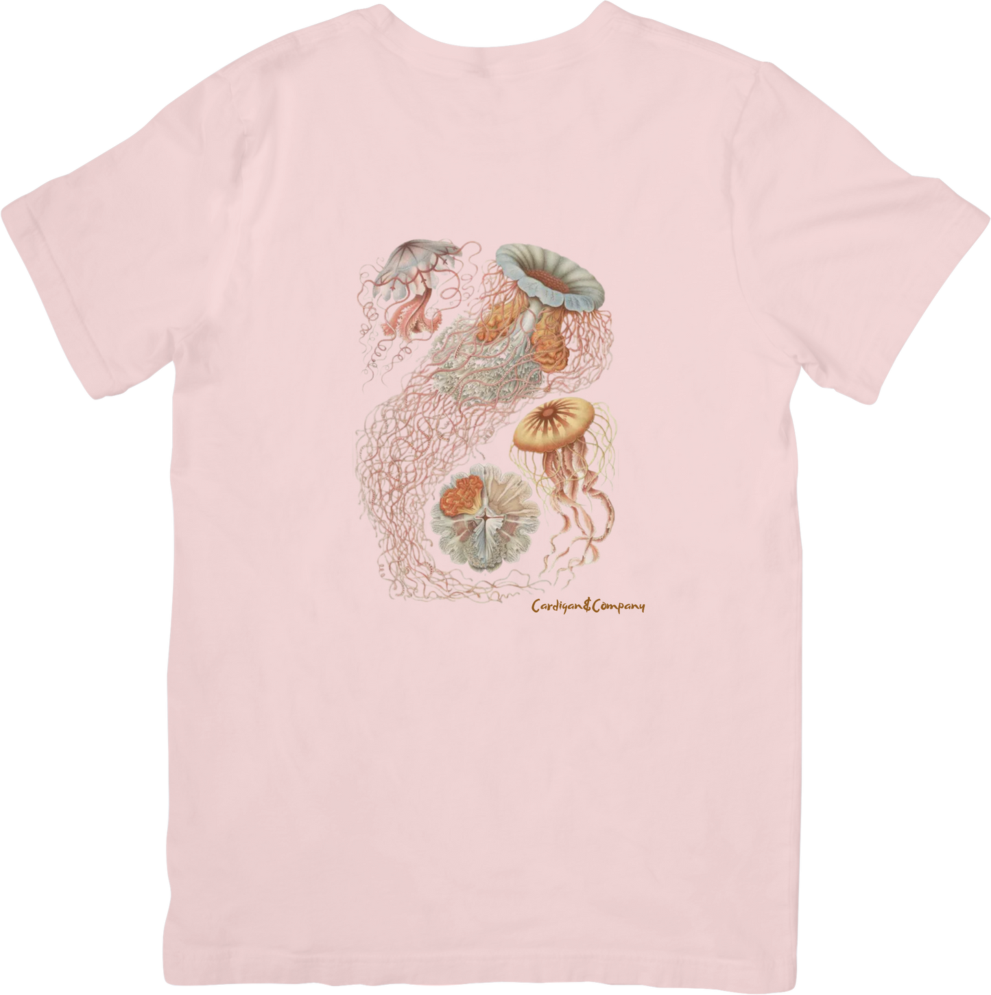 CORAL JELLY FISH TEE LITTLEBYRD