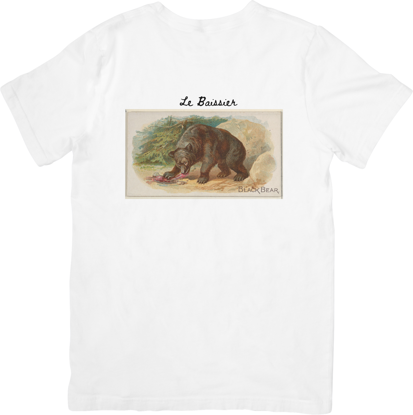 LE BEAR TEE