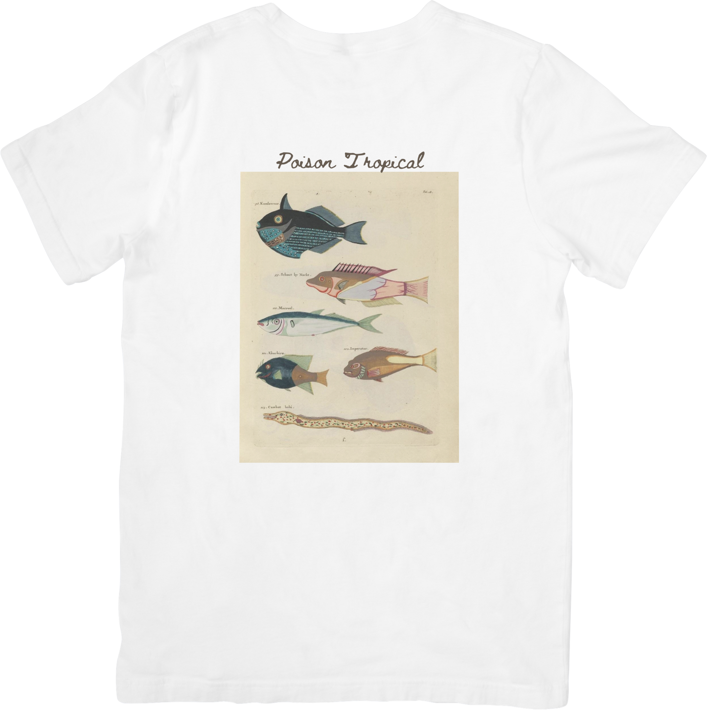 🐡LE FISH ONE TEE