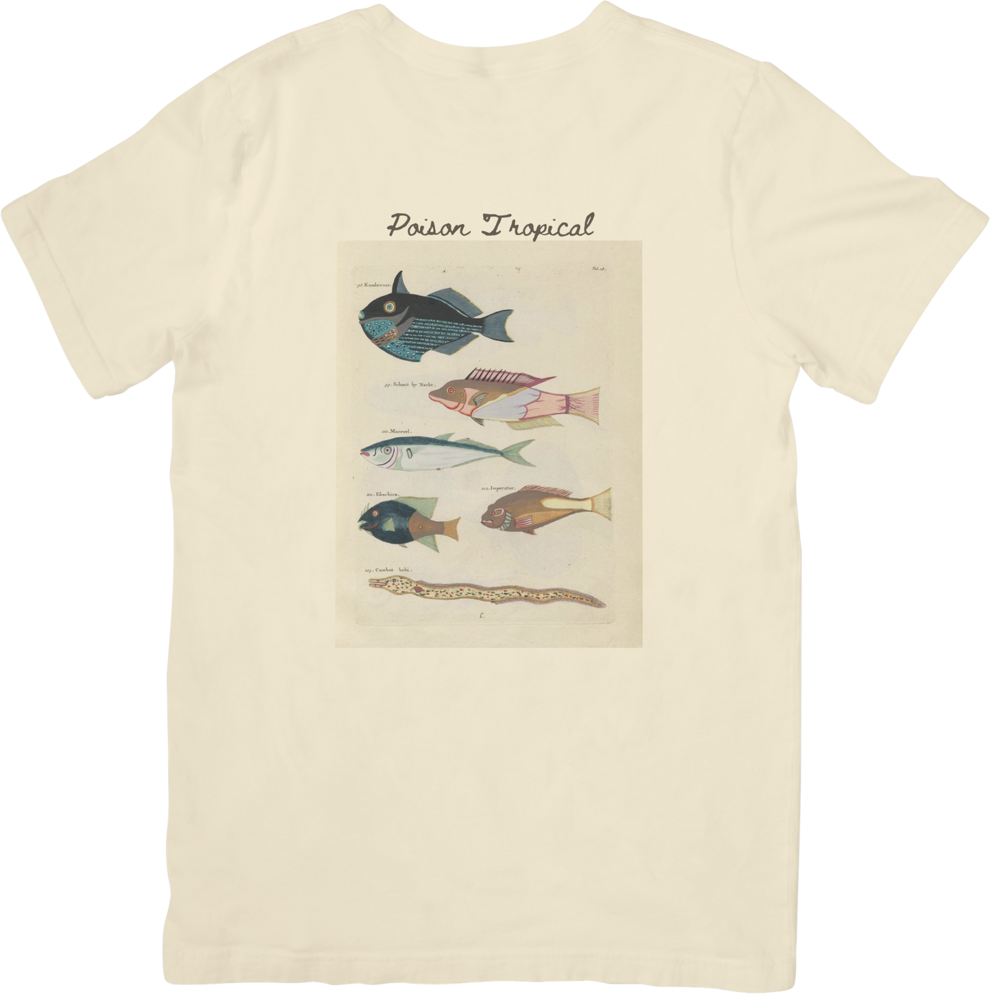 🐡LE FISH ONE TEE