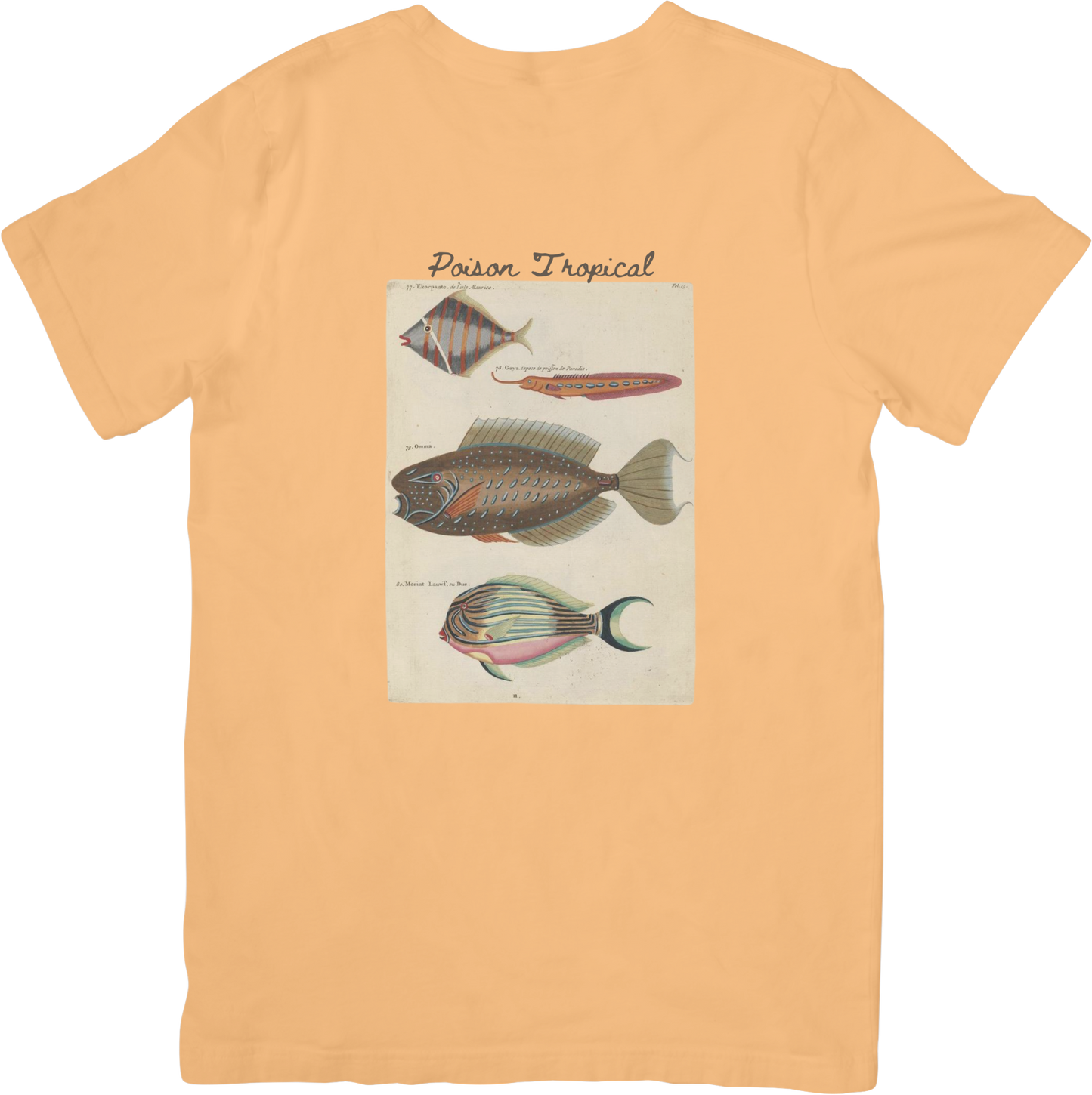 🐠LE FISH TWO TEE
