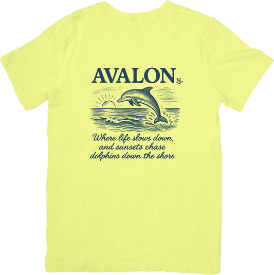 DICKIEBYRD AVALON TEE
