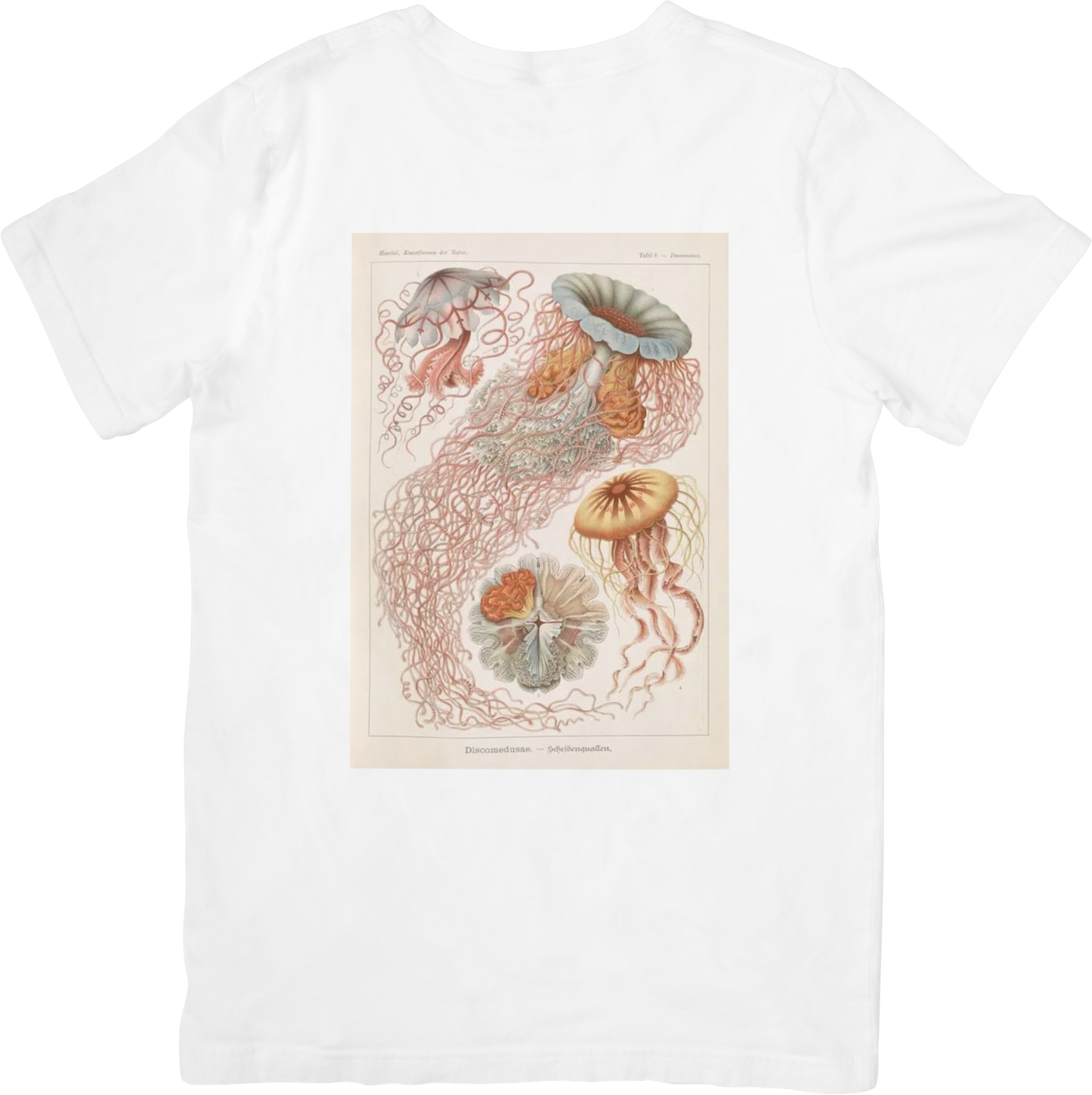 CORAL JELLY FISH TEE LITTLEBYRD