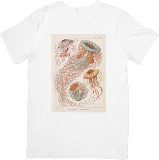 CORAL JELLY FISH TEE LITTLEBYRD