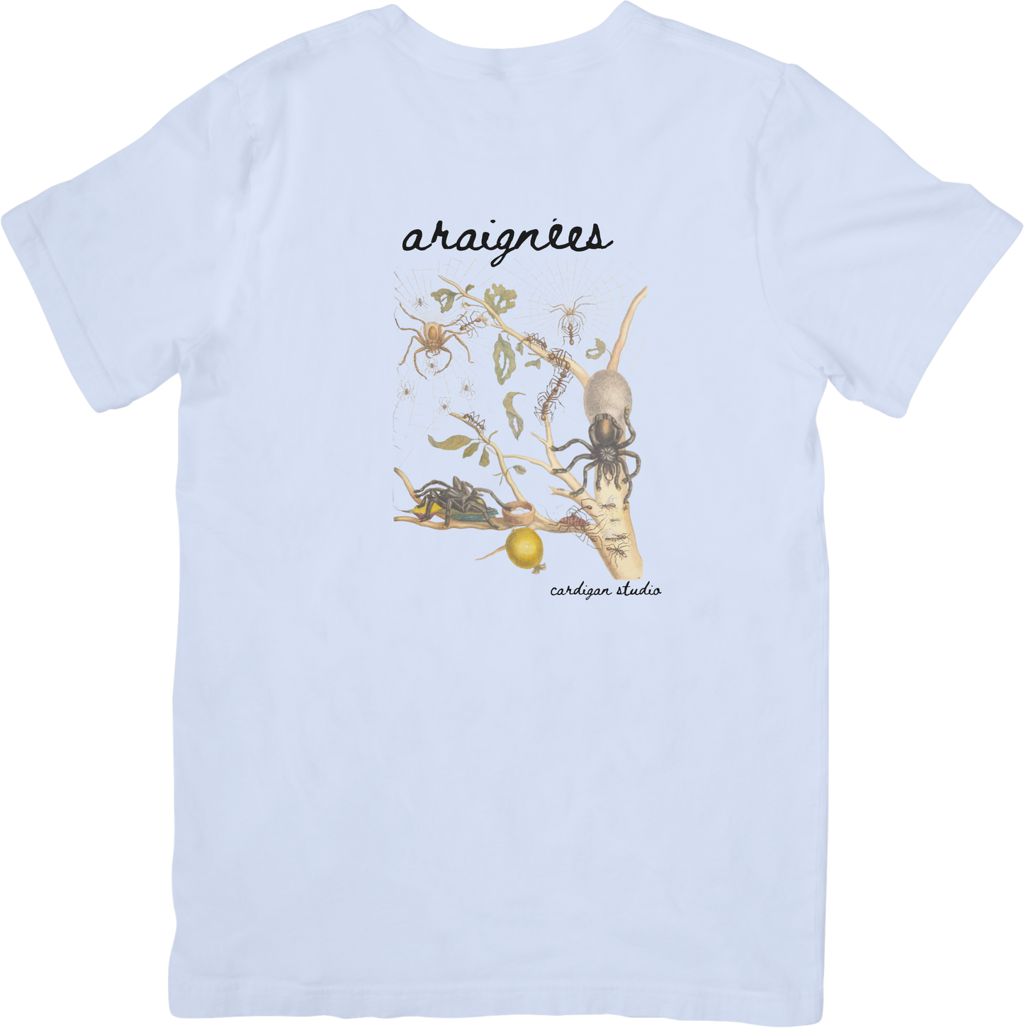 GARDEN SPIDER TEE LITTLEBYRD